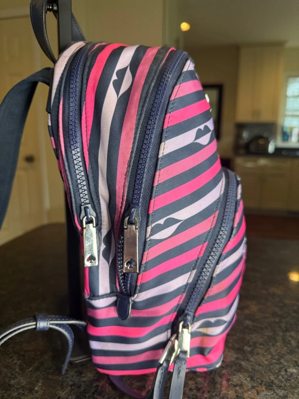 kate spade Navy & Pink Striped Mini Backpack with Lip Motif